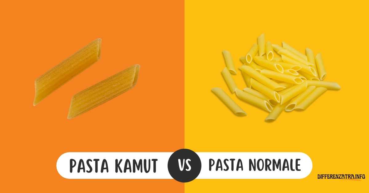 Differenza Tra Pasta di Kamut e Pasta Normale (Scopriamole!!)