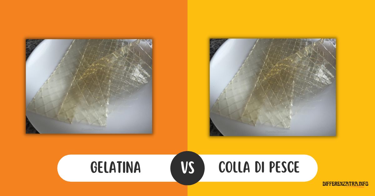Differenza tra Gelatina e Colla di Pesce (Sono La Stessa Cosa?) Differenza tra Gelatina e Colla di Pesce (Sono La Stessa Cosa?)