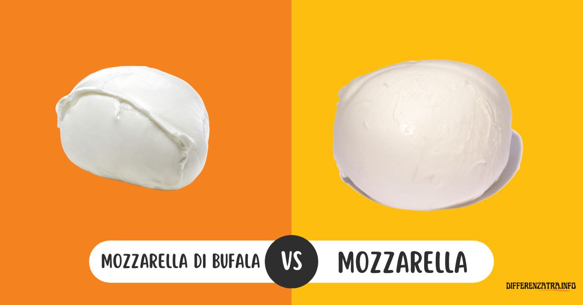 Differenza Tra Mozzarella di Bufala e Mozzarella Normale
