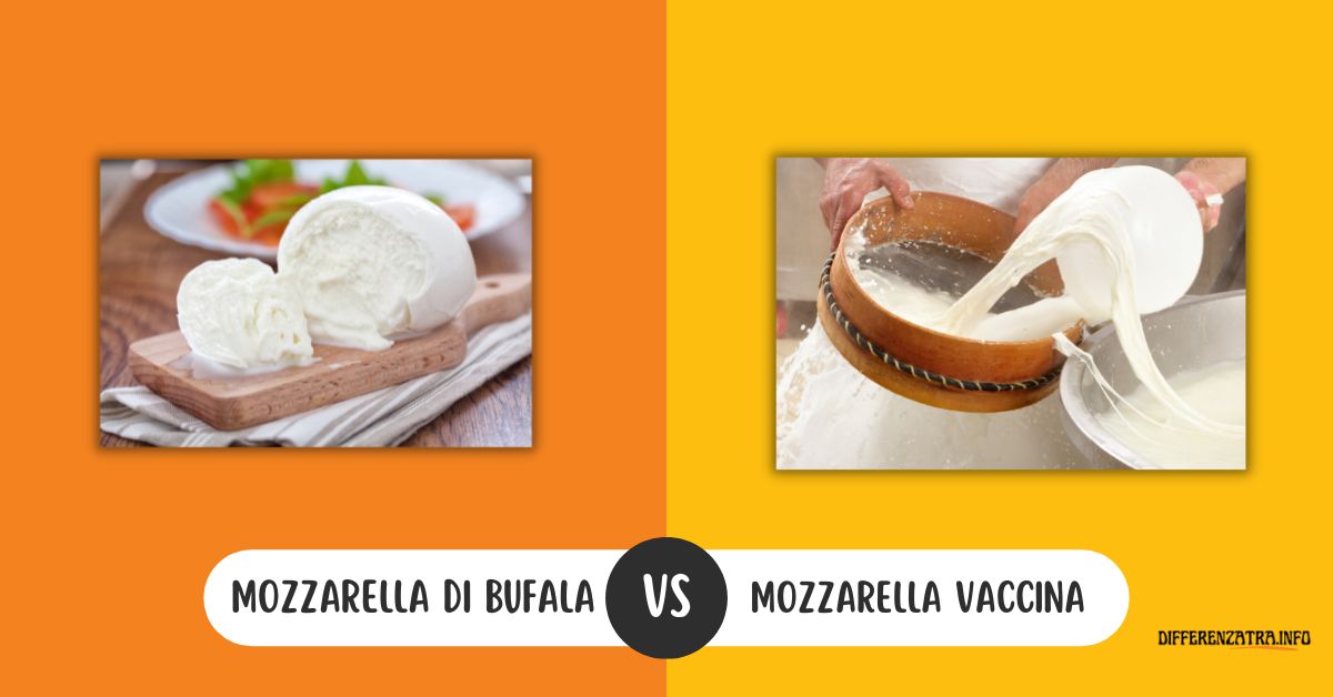 Differenza tra Mozzarella di Bufala e Mozzarella Vaccina