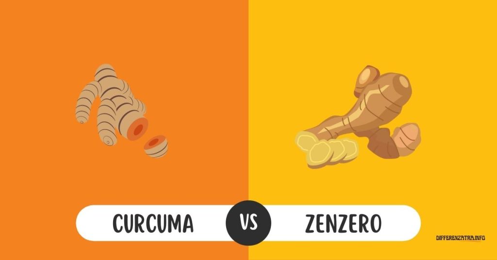 curcuma vs zenzero