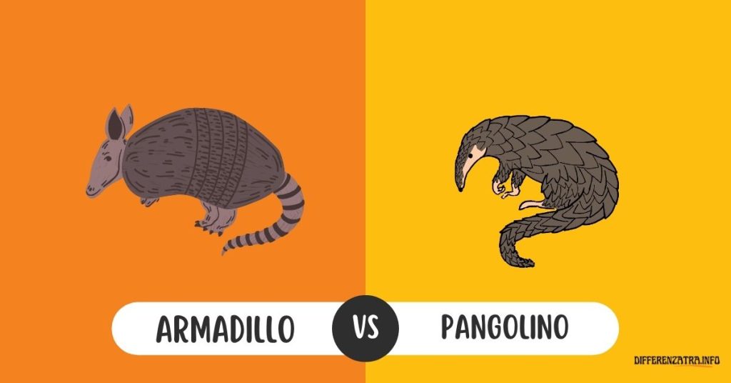 armadillo vs pangolino