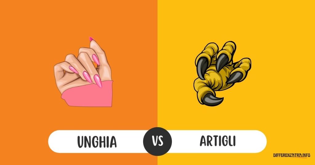 unghia-vs-artigli