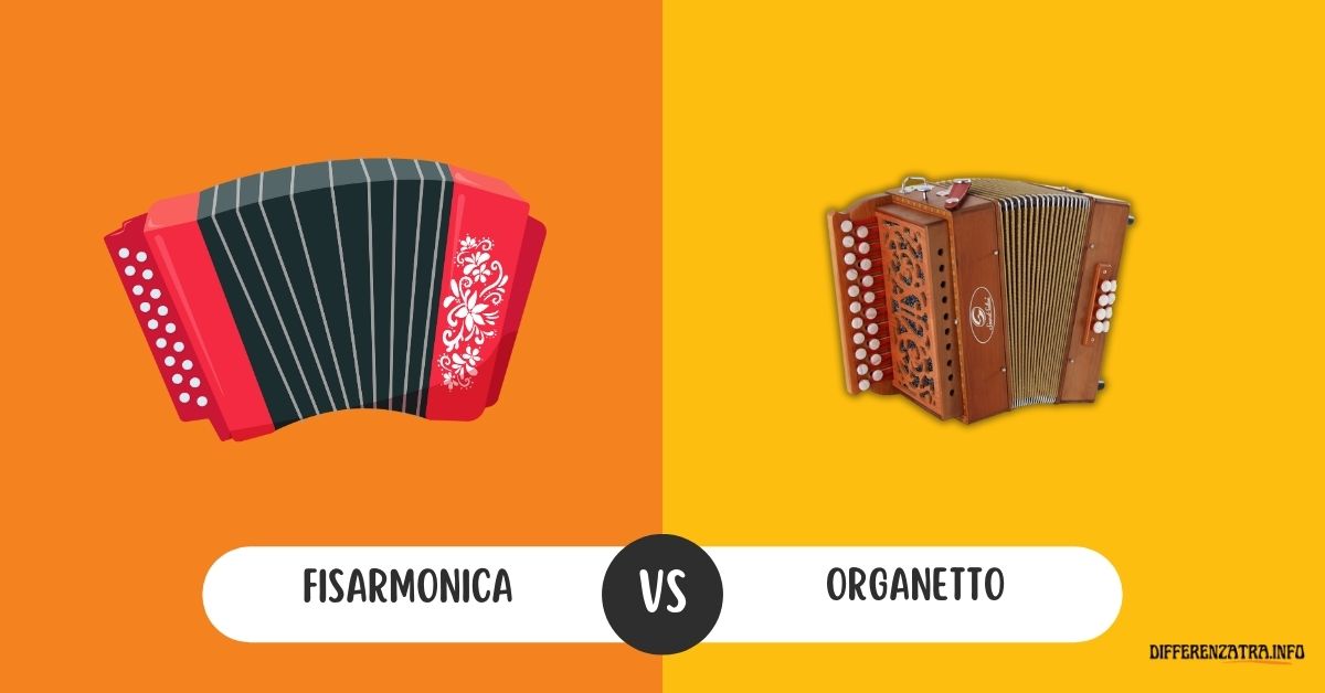 Fisarmonica Per Bambini 10 Tasti - Strumento Musicale Educativo Con Cinghie, Età 3+ - Foto 8